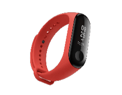 Fitness Band