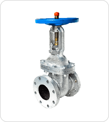 Gate & Globe Valve