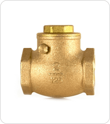 Check & NRV Valve