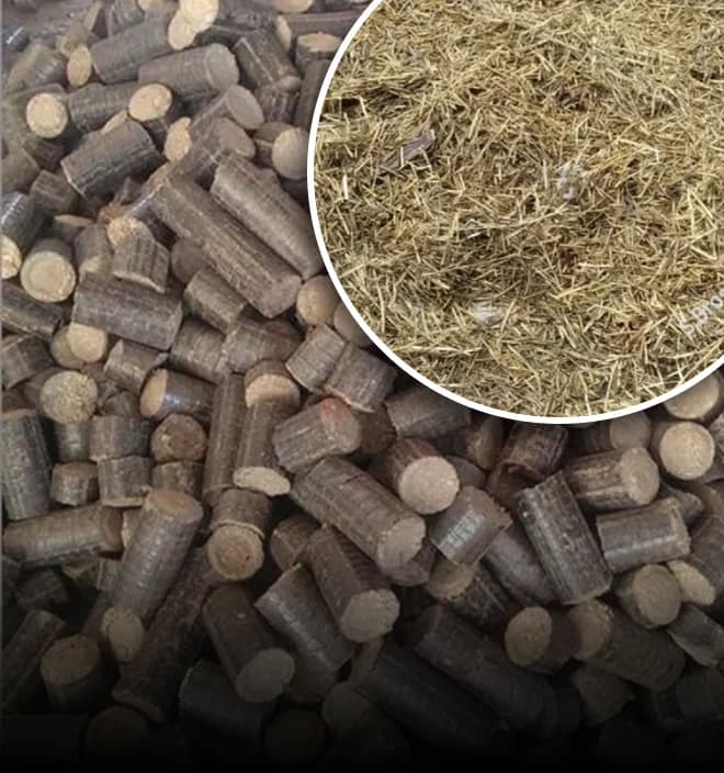 Mustard Husk Briquettes