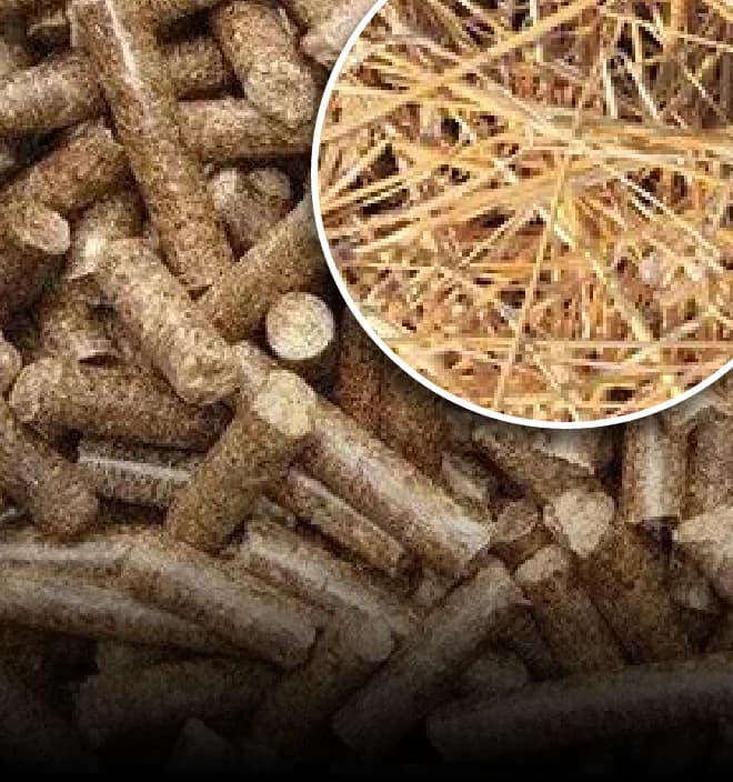 Paddy Straw Pellets