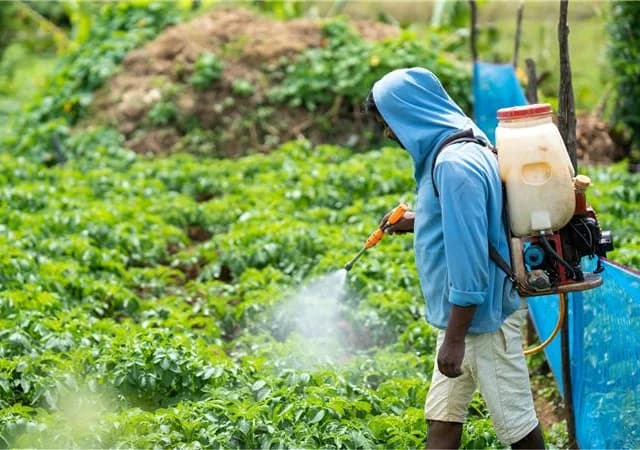 Transforming MRO Procurement for a leading Fertilizer Manufacturer