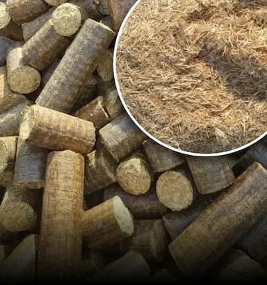 Guar Briquettes