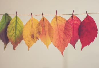 Diversity and inclusion best practices in 2020